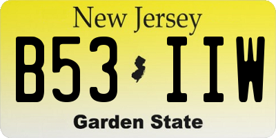 NJ license plate B53IIW