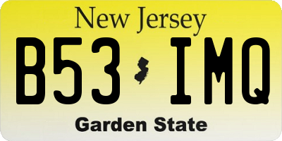 NJ license plate B53IMQ