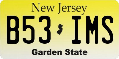 NJ license plate B53IMS
