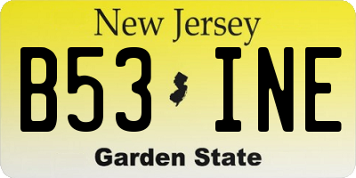 NJ license plate B53INE