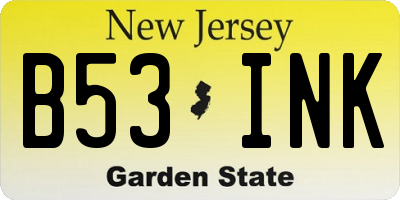 NJ license plate B53INK