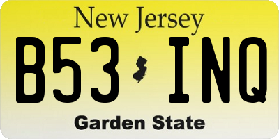 NJ license plate B53INQ