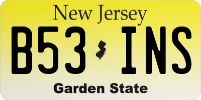 NJ license plate B53INS