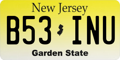NJ license plate B53INU