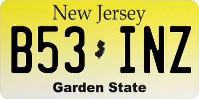 NJ license plate B53INZ