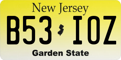 NJ license plate B53IOZ