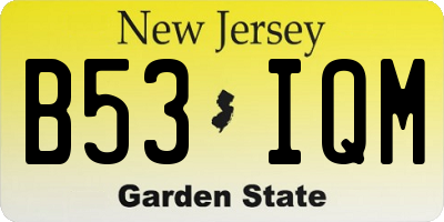 NJ license plate B53IQM