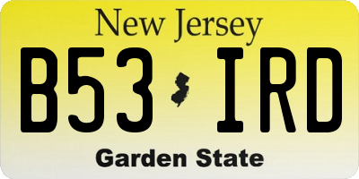 NJ license plate B53IRD