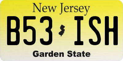 NJ license plate B53ISH
