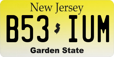 NJ license plate B53IUM