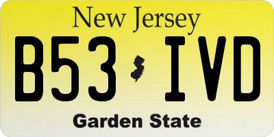 NJ license plate B53IVD