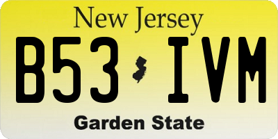 NJ license plate B53IVM