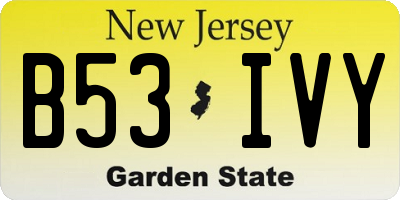 NJ license plate B53IVY