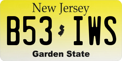 NJ license plate B53IWS