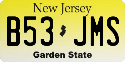 NJ license plate B53JMS