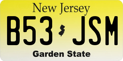 NJ license plate B53JSM