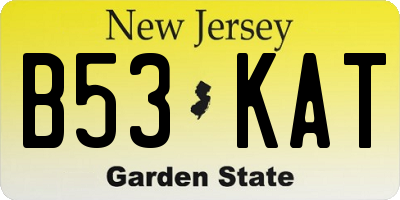 NJ license plate B53KAT