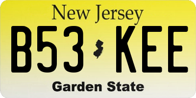 NJ license plate B53KEE