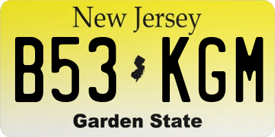 NJ license plate B53KGM