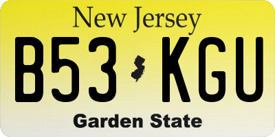 NJ license plate B53KGU