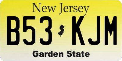 NJ license plate B53KJM