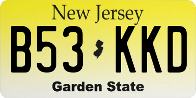 NJ license plate B53KKD