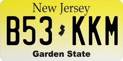 NJ license plate B53KKM