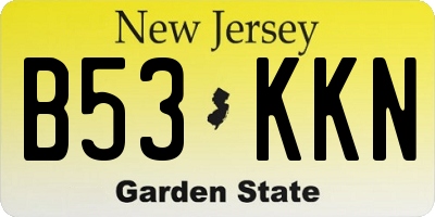 NJ license plate B53KKN