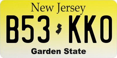 NJ license plate B53KKO