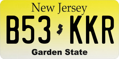 NJ license plate B53KKR