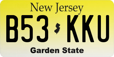 NJ license plate B53KKU