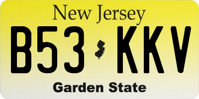 NJ license plate B53KKV