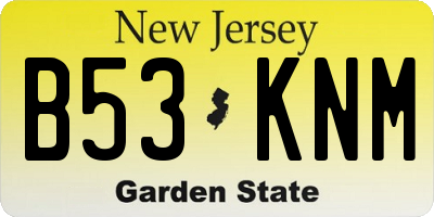 NJ license plate B53KNM