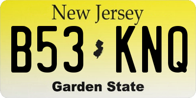 NJ license plate B53KNQ