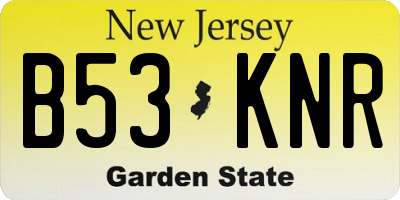 NJ license plate B53KNR