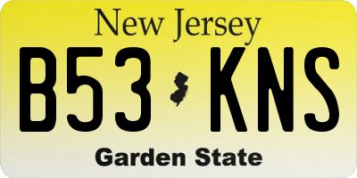 NJ license plate B53KNS