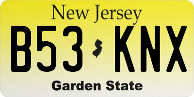 NJ license plate B53KNX