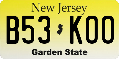 NJ license plate B53KOO