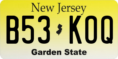 NJ license plate B53KOQ