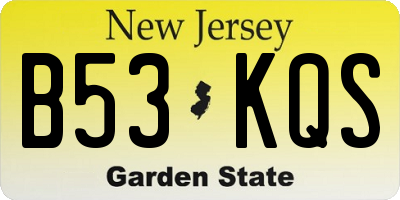 NJ license plate B53KQS