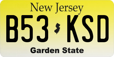 NJ license plate B53KSD