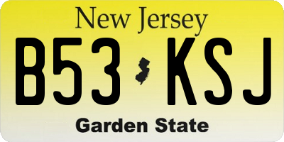 NJ license plate B53KSJ