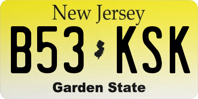 NJ license plate B53KSK