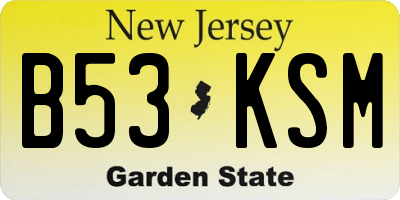 NJ license plate B53KSM