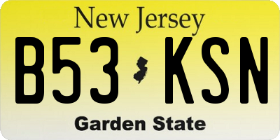 NJ license plate B53KSN