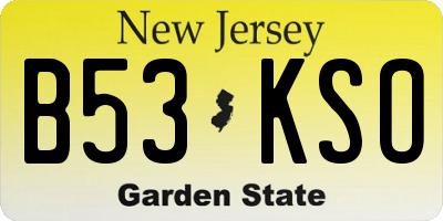 NJ license plate B53KSO