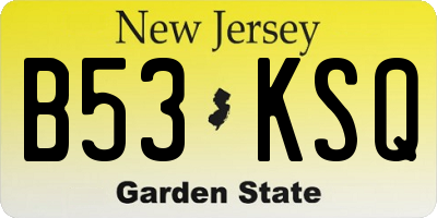 NJ license plate B53KSQ