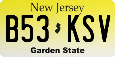 NJ license plate B53KSV