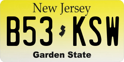 NJ license plate B53KSW