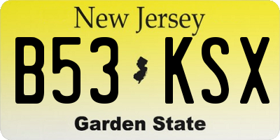 NJ license plate B53KSX
